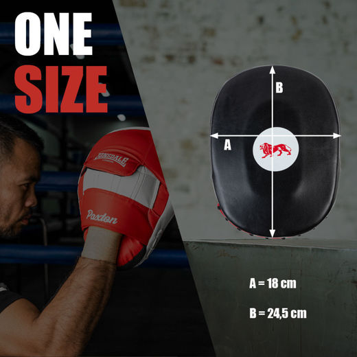 Εικόνα για HUSTLE - LEATHER HOOK & JAB PADS  BLACK/WHITE/RED 6